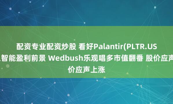 配资专业配资炒股 看好Palantir(PLTR.US)人工智能盈利前景 Wedbush乐观唱多市值翻番 股价应声上涨