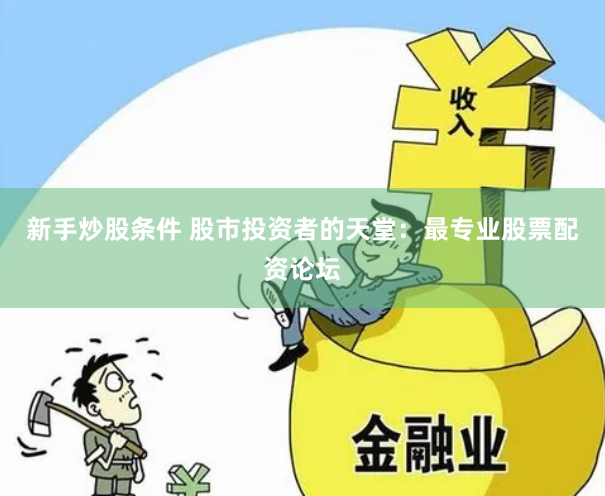 新手炒股条件 股市投资者的天堂：最专业股票配资论坛