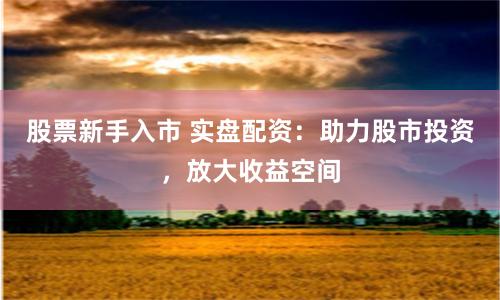 股票新手入市 实盘配资：助力股市投资，放大收益空间